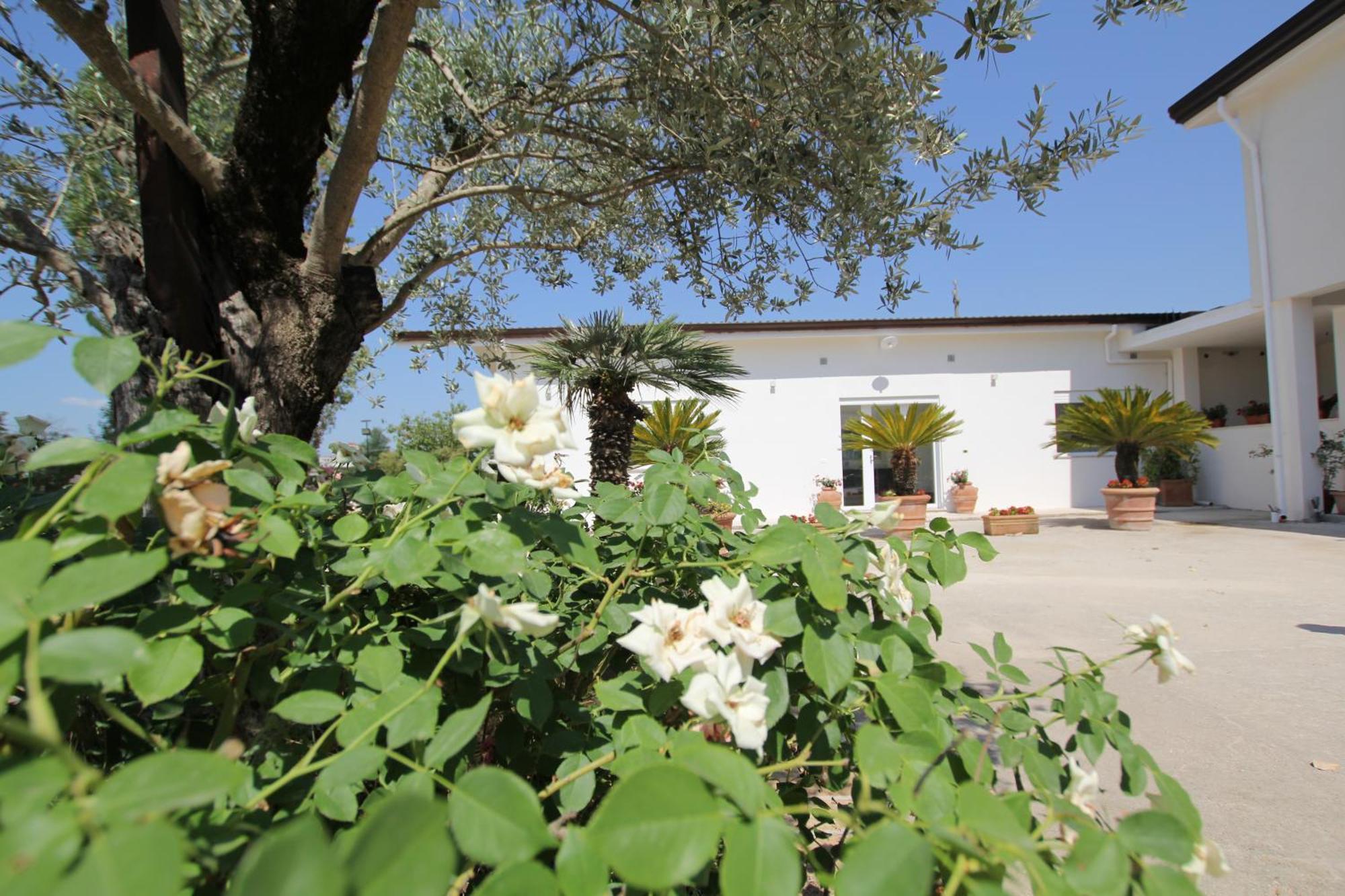 Villa Capodacqua Castrocielo Exterior foto